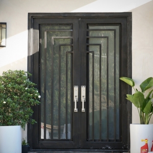 China modern iron single door design for home